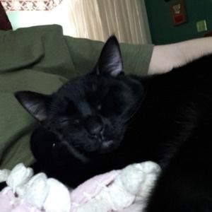 Meet your Posher, Krista